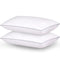 Light Gray Standard 2-Pack