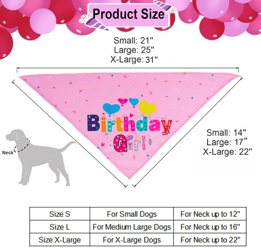 Sombrero de Cumpleaños para Perros con Números y Bandana - Image 5