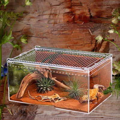 Caja de Alimentación para Reptiles con Alta Permeabilidad Acrílica - Image 11
