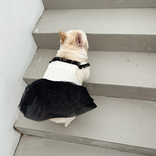 Vestido Aereo para Perros Pequeños Pomerania Jarre Aero Bull - Image 3