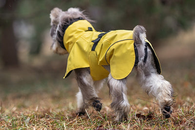 Poncho Impermeable Universal para Perros Pequeños y Medianos - Image 12