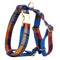 Dog Vest