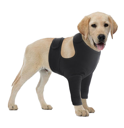 Protectores de Patas Delanteras para Perros - Doble Protección - Image 11