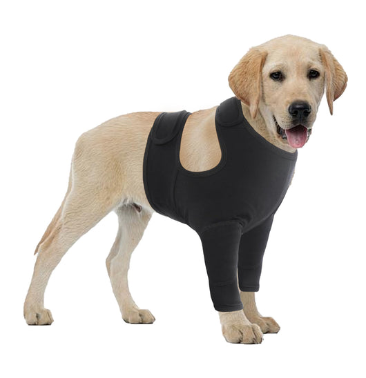 Protectores de Patas Delanteras para Perros - Doble Protección - Image 11