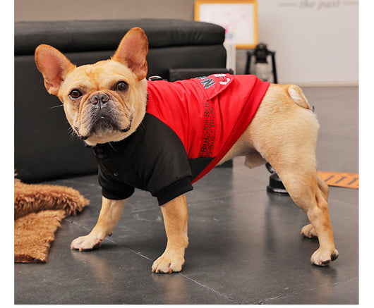 Abrigo Acolchado de Invierno para Perros Pequeños - Image 4