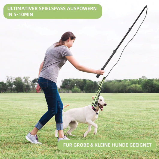 Black telescopic pet training rod with a black cord and two interchangeable braided fabric attachments in green/yellow and blue. - Image 27