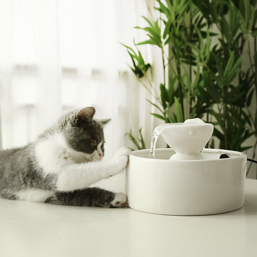 Fuente de Agua Cerámica Inteligente para Gatos con Circulación Continua - Image 3