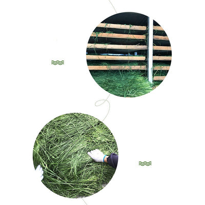 White box of Timothy grass pet food with cartoon rabbits, labeled as green, no pollution, high fiber, nutrition, and health, 1kg. - Image 4