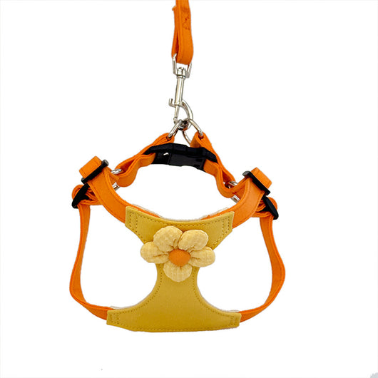 Chaleco Arnés de Cuerda para Perros Pequeños - Image 11