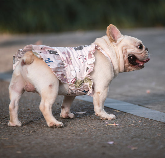 Falda para Perros Schnauzer, Pugs y Gatos - Tallas Pequeña y Mediana - Image 5
