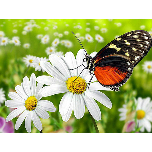 Pintura de Diamantes 5D Mariposa - Bordado Completo Animal DIY