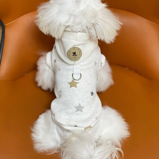 Ropa Casual Elegante para Mascotas Teddy - Image 2