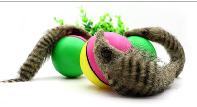 Green and pink two-tone ball with a furry gray beaver-like pet toy on a white background. - Image 7