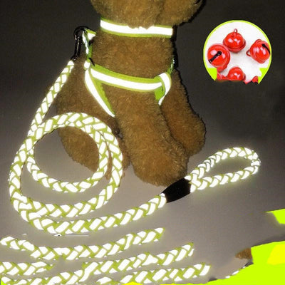 Correa para Perro Resistente y Segura - Image 8