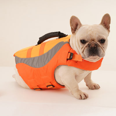 Chaleco Salvavidas Reflectante para Perros con Diseño de Traje de Baño - Image 12