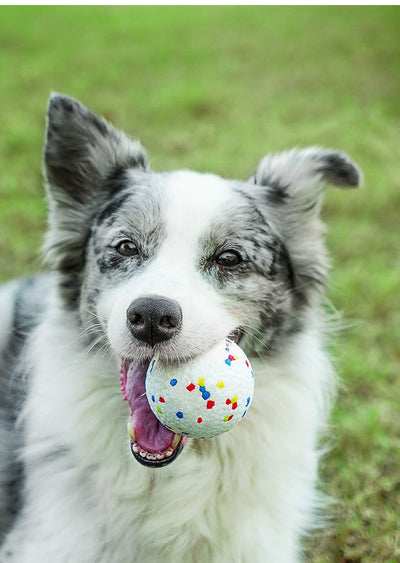 White bone-shaped dog toy with colorful speckles, labeled as interactive and bite-resistant. - Image 14