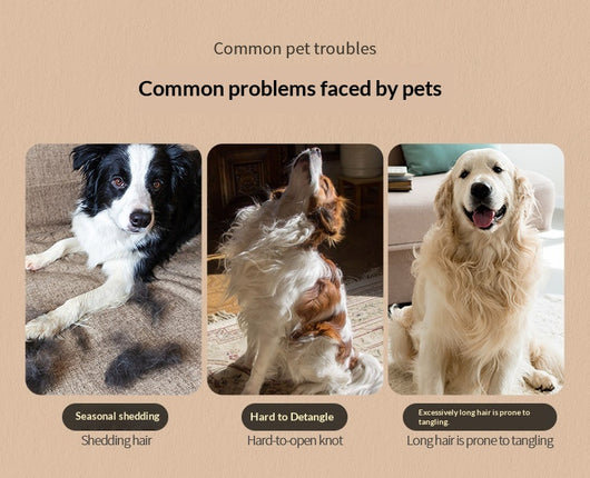 Peine Deslanador Automático para Mascotas con Limpieza por Botón - Image 10