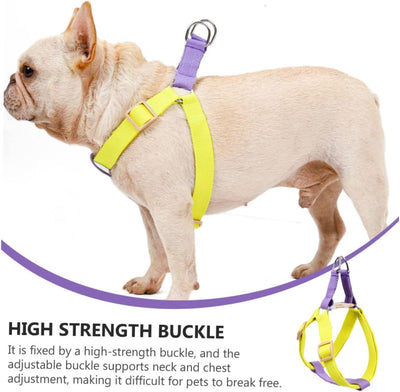 Yellow and purple no-pull dog harness with adjustable nylon straps, plastic buckles, and metal D-rings. - Image 12