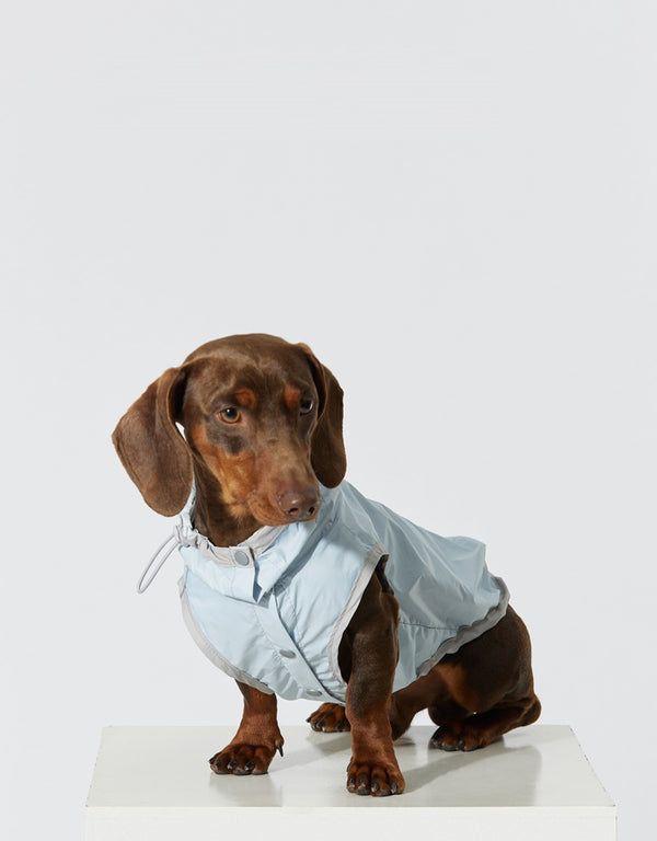Chaleco Impermeable Ultradelgado para Perros - Protección contra Agua y Viento