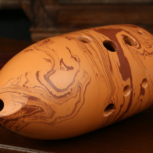 Instrumentos Musicales para Adultos Principiantes - Image 7