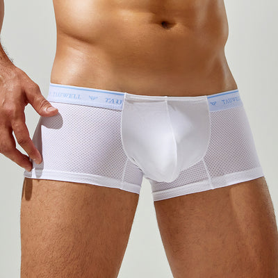 Calzoncillos Boxer Transpirables de Malla Profesional con Soporte Anatómico - Image 14