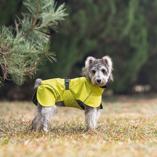 Poncho Impermeable Universal para Perros Pequeños y Medianos - Image 8
