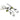 Bohemian Plant Leaf Vine Earrings