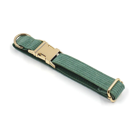 Collar para Perro en Pana Verde Oliva - Image 10