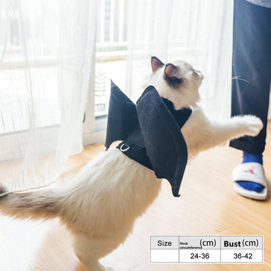 Disfraz de Murciélago y Calabaza para Mascotas - Capa Halloween - Image 6