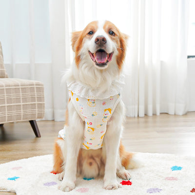 Suéter Transpirable de Algodón Puro para Perros y Gatos Grandes - Image 11