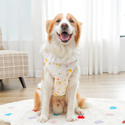 Suéter Transpirable de Algodón Puro para Perros y Gatos Grandes - Image 11