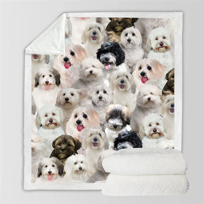 Manta Franela Estampada para Perros - Image 57