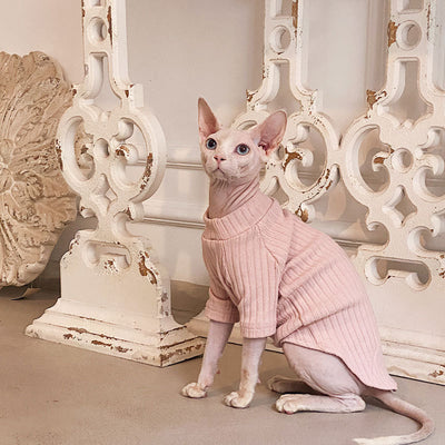 Ropa Minimalista de Algodón Puro Elástico para Gatos sin Pelo - Image 4