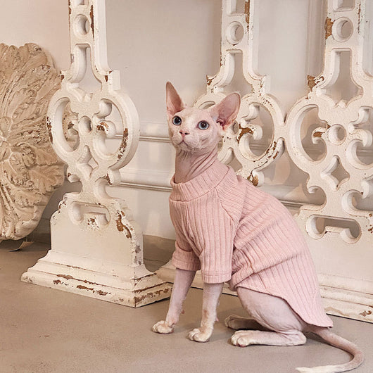 Ropa Minimalista de Algodón Puro Elástico para Gatos sin Pelo - Image 4
