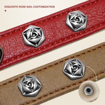 Collar de Cuero para Mascotas - Image 11