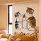 Gris Gato Waist Measurement 40 X 60 Cm Velcro