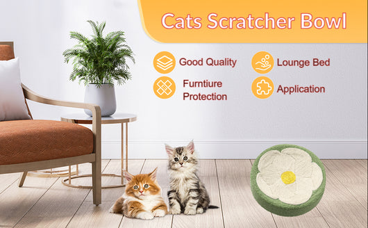 Cama Rascador para Gatos - Nido Acogedor con Zona de Descanso y Juego - Image 6