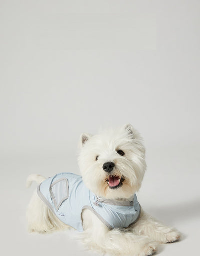 Chaleco Impermeable Ultradelgado para Perros - Protección contra Agua y Viento - Image 12