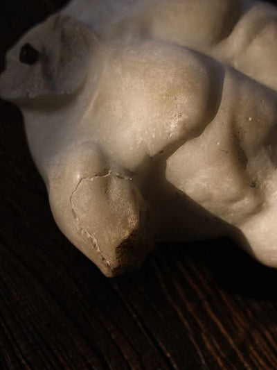 Busto Escultórico Masculino Estilo Clásico Antiguo - Ornamento de Fuerza y Belleza - Image 9