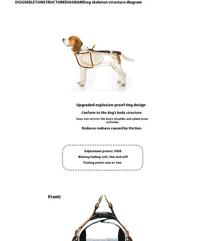 Arnés Chaleco para Perros Pequeños y Medianos - Control Seguro y Cómodo - Image 7