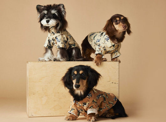 Playera Estampada con Razas de Perros - Dachshund, Schnauzer, Bichón y Maltés - Image 36