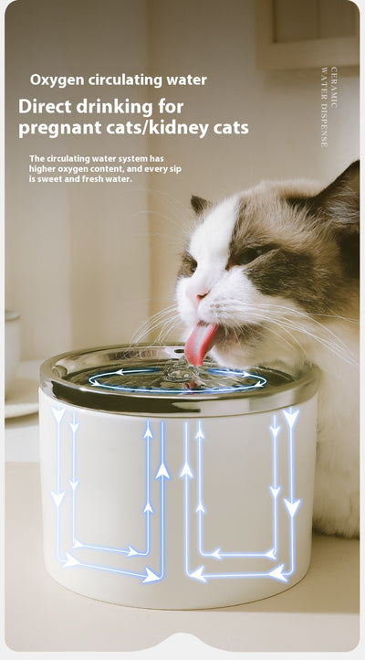 Fuente Automática para Gatos con Filtro Cerámico y Circulación Silenciosa - Image 17