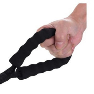 Correa Extensible con Rastreador GPS para Perros