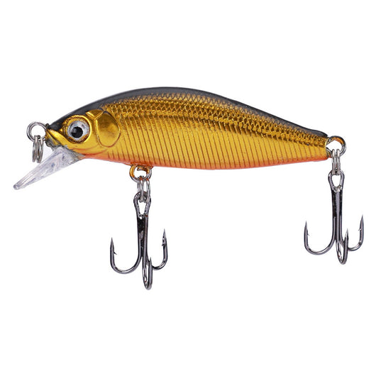 Carnada Viva para Pesca de Agua Dulce - Cucaracha Bass - Image 5