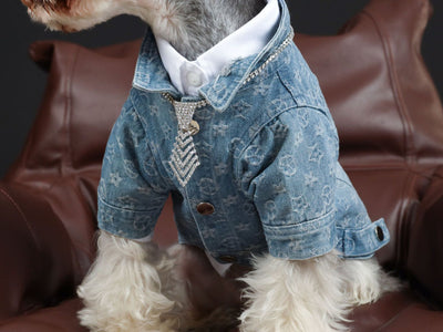 Camisa Denim Primavera Verano para Mascotas - Image 4