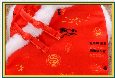 Abrigo Tradicional Chino para Perros - Acolchado Térmico Invierno - Image 10