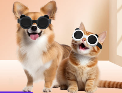 Gafas de Sol para Mascotas con Protección UV - Lentes de Seguridad para Perros y Gatos - Image 2