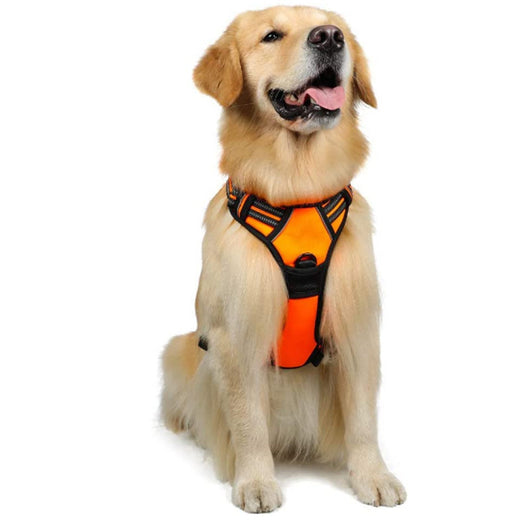 Chaleco Arnés para Perros Grandes con Correa Integrada - Image 6