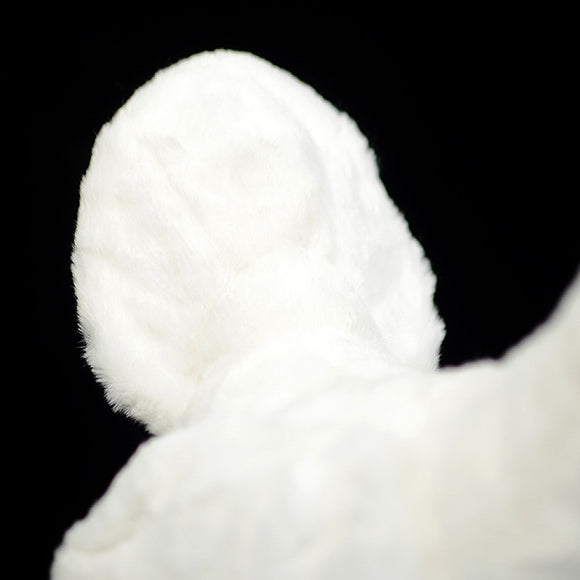 Adorable Peluche Gallo Blanco Realista