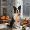 Baberos Triangulares Estampados de Halloween para Bebés